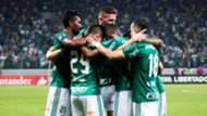Palmeiras Atletico Tucuman Libertadores 24052017