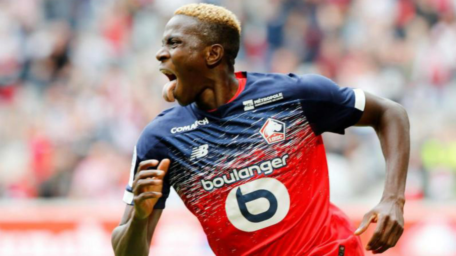 Osimhen's future is uncertain - Lille OSC coach Galtier | Goal.com