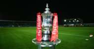 HP FA Cup trophy