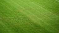 Swastika Croatia Italy 12062015