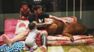 Messi perro
