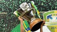 Copa do Brasil trophy troféu 2014