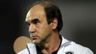 Ricardo Gomes - Desportiva ES x Botafogo Amistoso 23012016