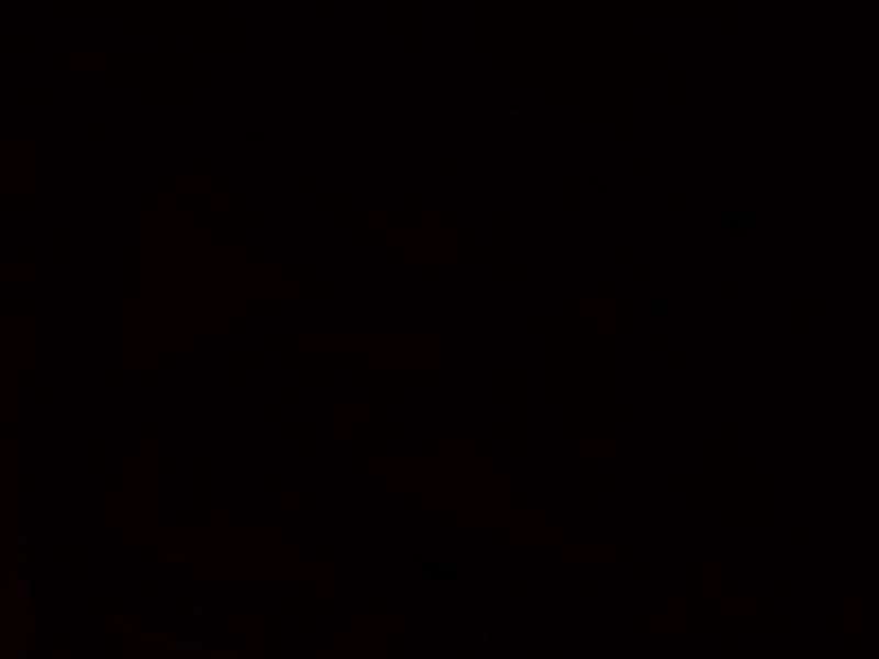 Revisiting 16th August 1980 The Darkest Day In The History Of Indian Football As 16 Died In Eden Gardens Debacle Goal Com