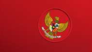Jersey tim nasional Indonesia di AFF 2014