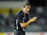 raddy avramovic