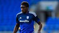 Sammy Ameobi of Cardiff City