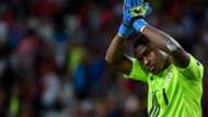 Vincent Enyeama of LOSC Lille