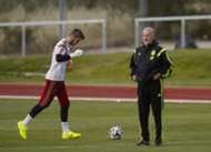David De Gea & Vicente Del Bosque
