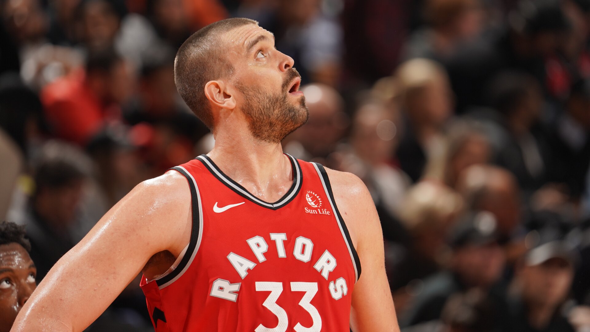 Toronto Raptors Report Cards What grade does Marc Gasol