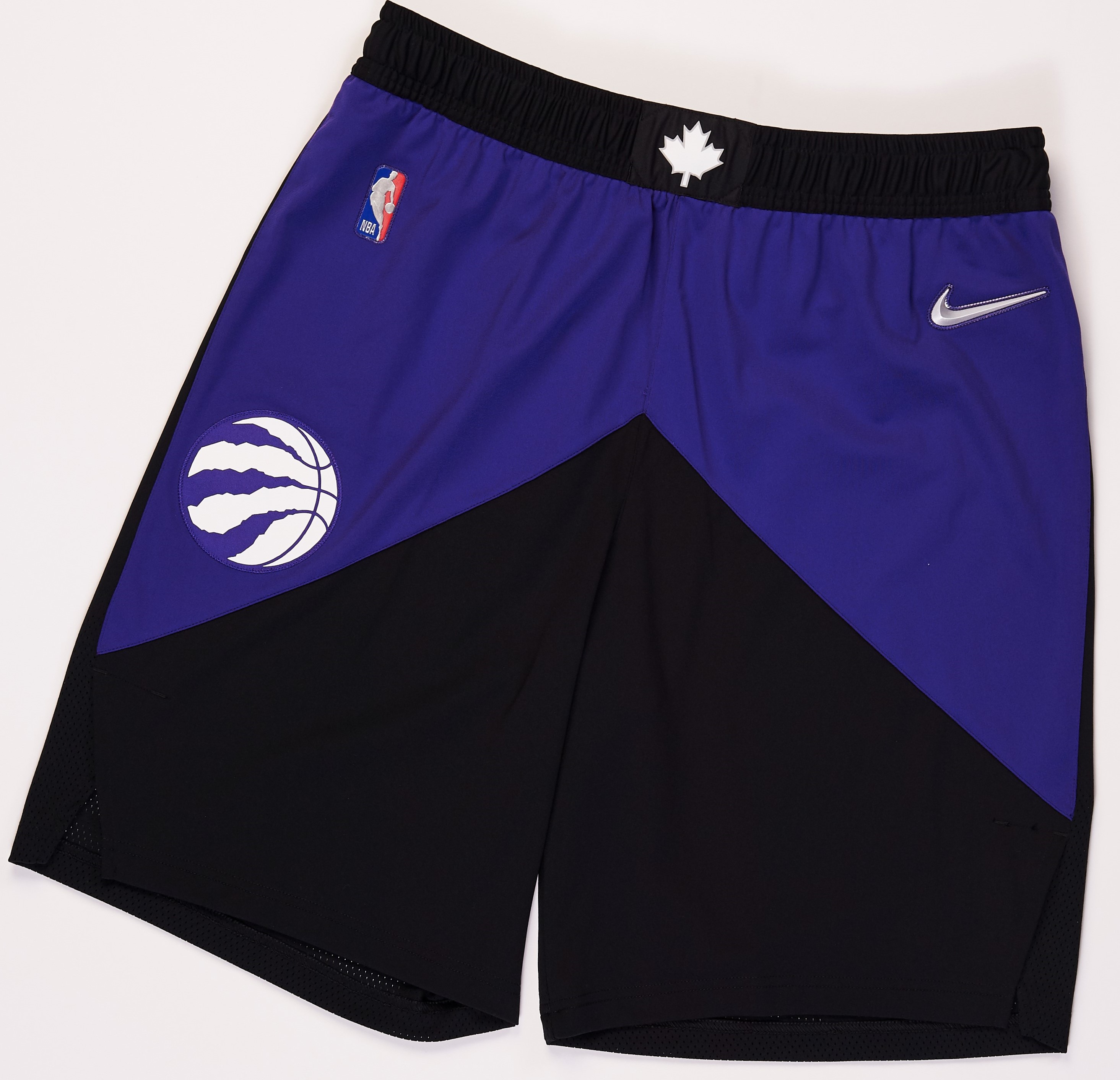 toronto raptors earned edition