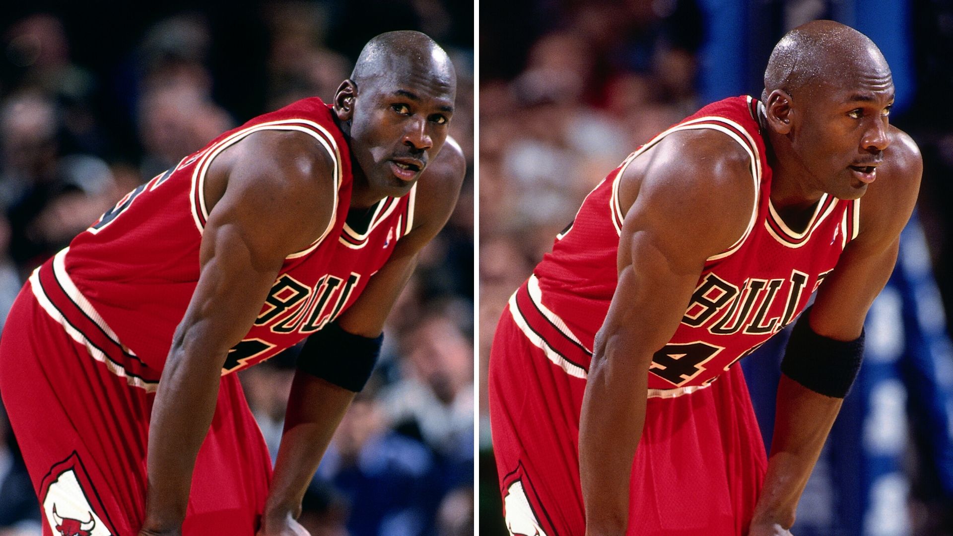 michael jordan madison square garden shoes