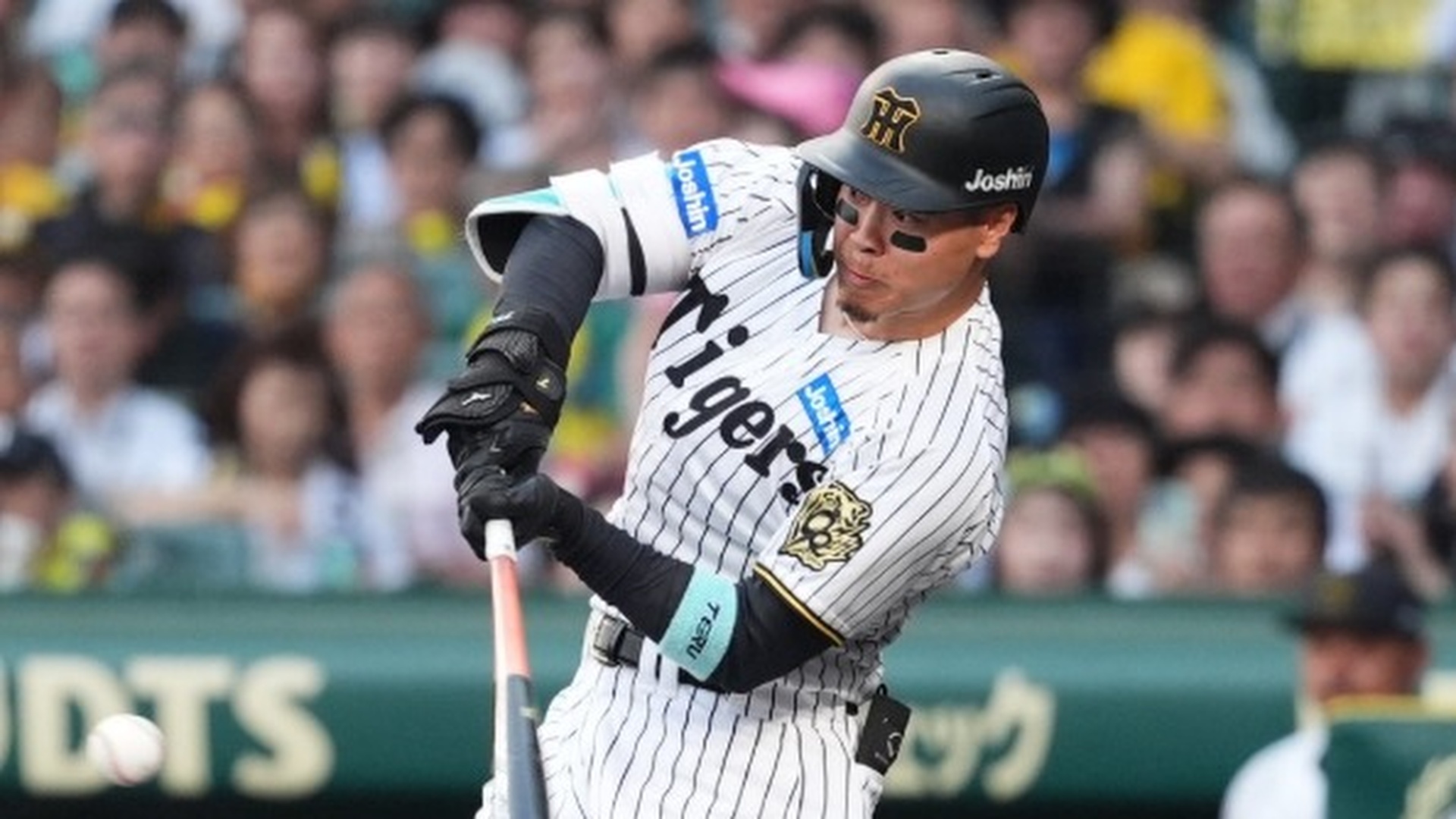 動画】ヤクルトが4本塁打でDeNAに大勝 村上が最終打席で56号|セ