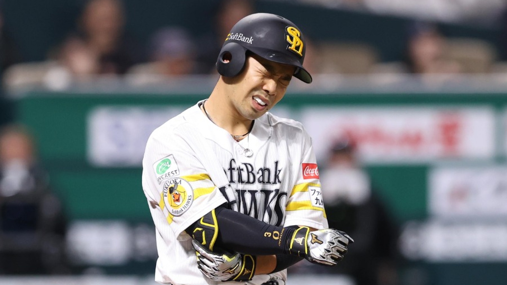 東北楽天ゴールデンイーグルス】｜プロ野球｜ドラフト名鑑2025 | DAZN
