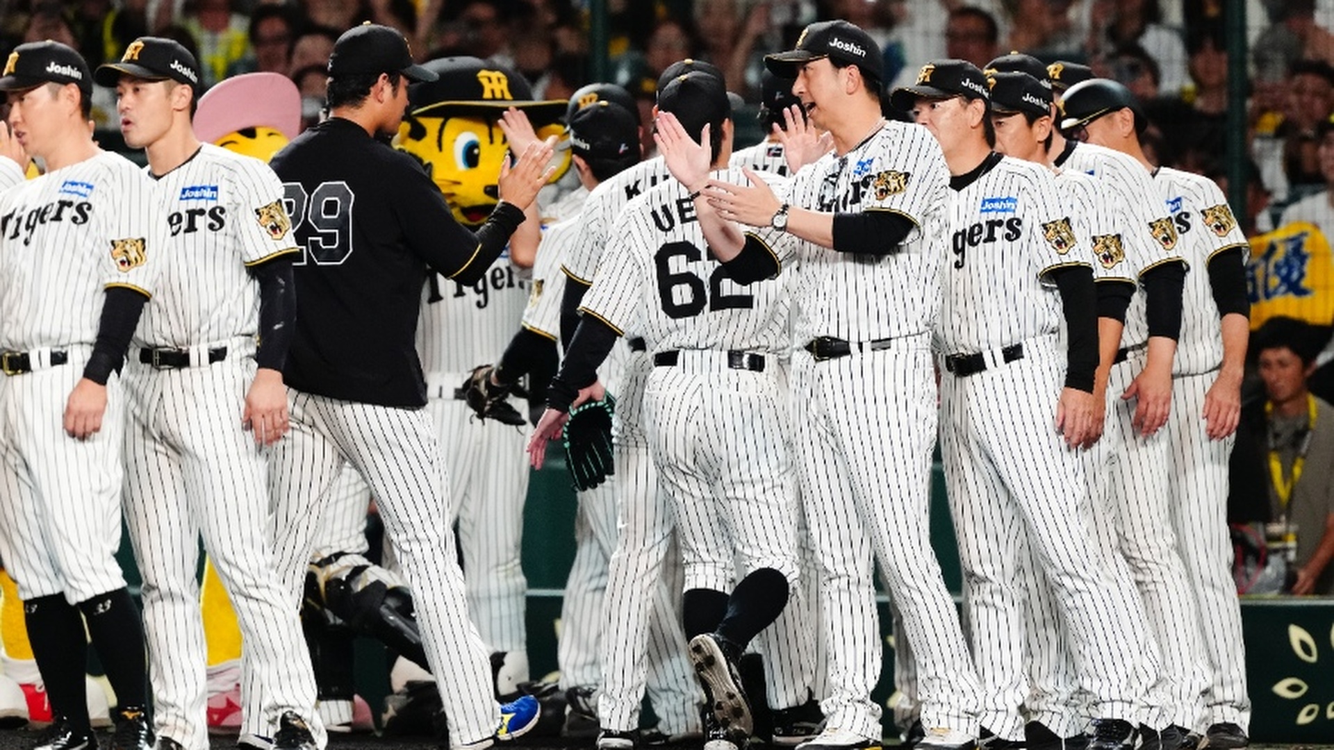 阪神タイガースメンバー