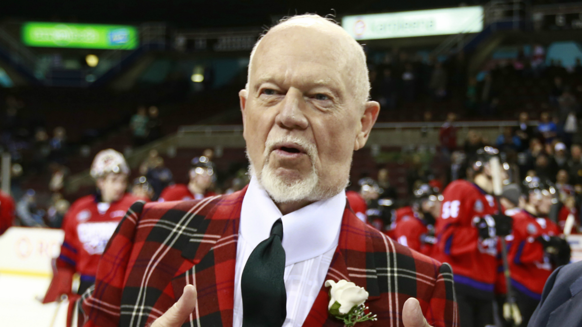 Don Cherry speaks for first time since firing 'I don't regret a thing