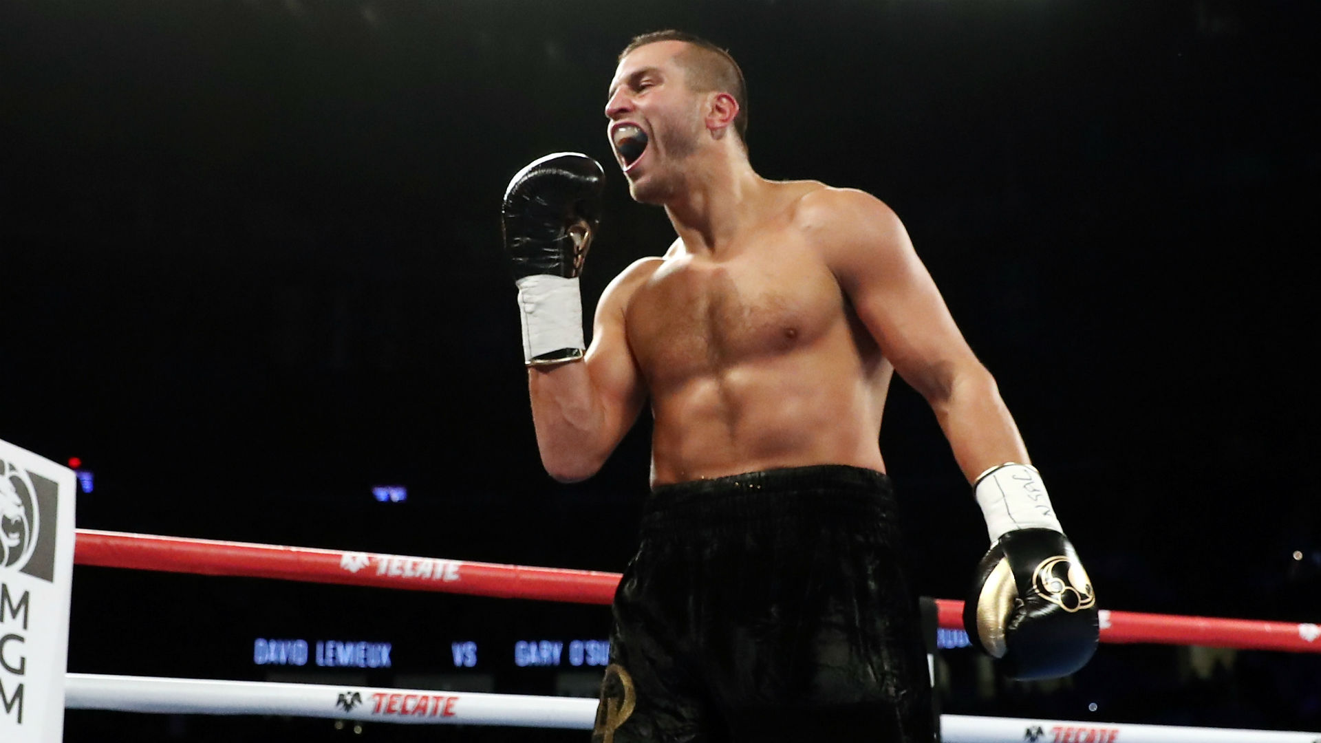 When is David Lemieux's next fight? Date, time, price, how to watch