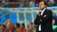 Marc Wilmots | Belgium