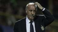 Vicente Del Bosque Spanien 06112015