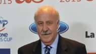 Vincent del Bosque Spanien 14122015