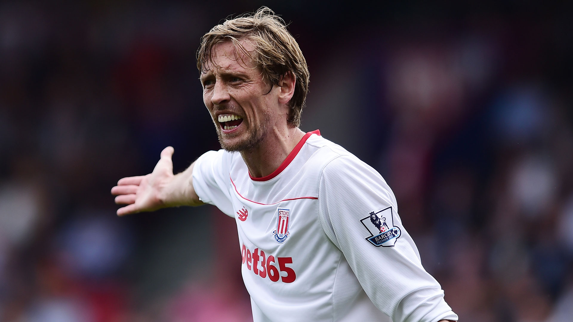 Stoke City Kader Stoke City Kader