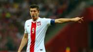 ROBERT LEWANDOWSKI POLAND EC QUALIFICATION 10112014