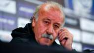 Vicente Del Bosque Spain press conference 31052016