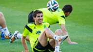 Javi Martinez Spain