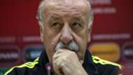 Vicente del Bosque Spain