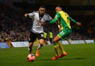 Chris David Josh Murphy Norwich City Fulham FA Cup 01042014