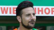 Claudio Pizarro Werder Bremen v Hoffenheim Bundesliga 13052017