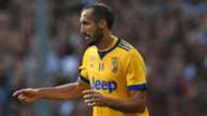 Chiellini-Cropped