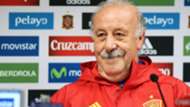 VicenteDelBosque - Cropped