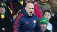 Ljungberg cropped