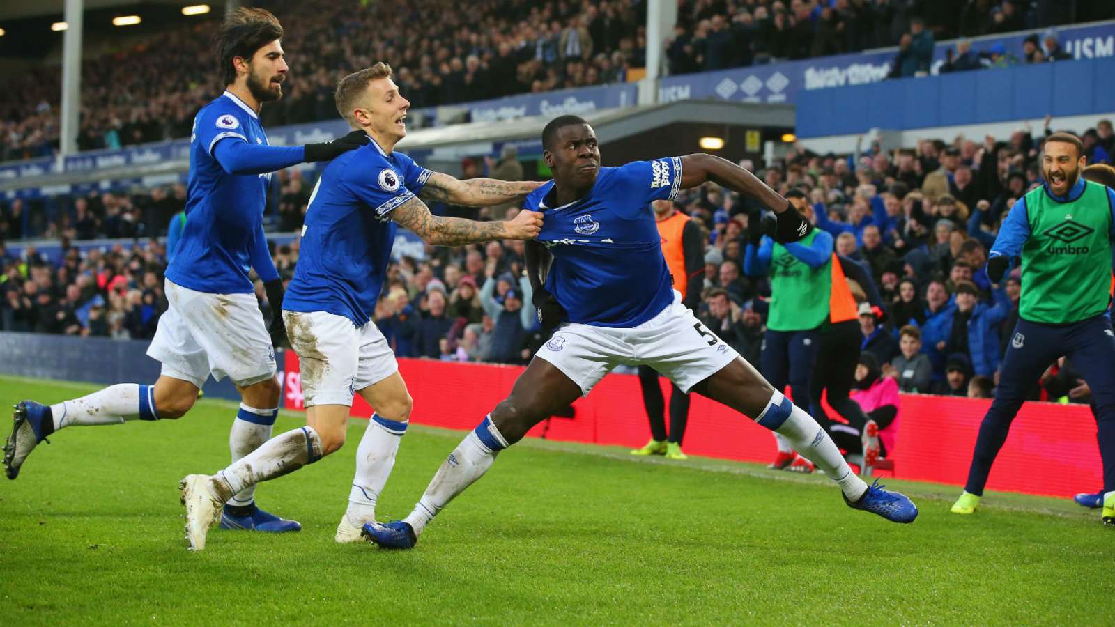 Everton v AFC Bournemouth Match Report, 1/13/19, Premier League  Goal.com