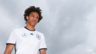 LeroySane - cropped