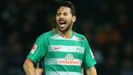 claudio pizarro - cropped