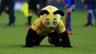 Harry the Hornet