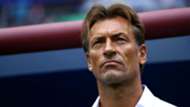 renard-cropped