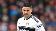 mitrovic-cropped