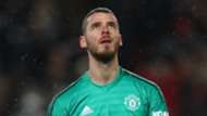 David de Gea - cropped