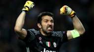 Buffon - Cropped