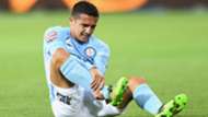 TimCahill - Cropped