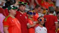 walesfans - CROPPED