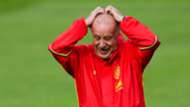 Vicente del Bosque - cropped