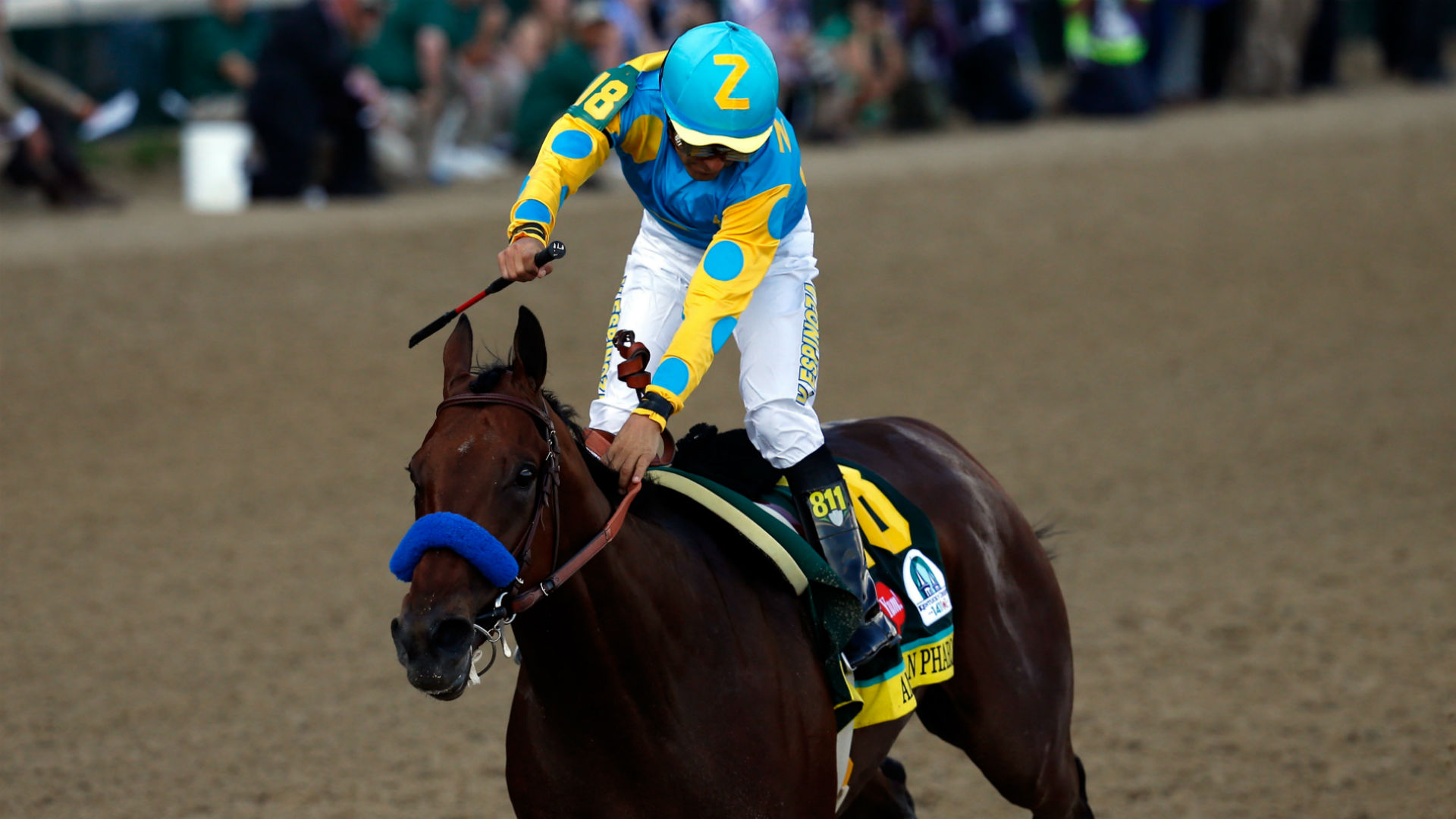 American Pharoah wins the Kentucky Derby Sporting News Australia