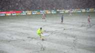 pl snow-cropped