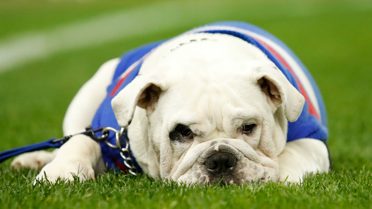 Doggone: Final siren sounds on Western Bulldogs mascot Sid | Sporting ...