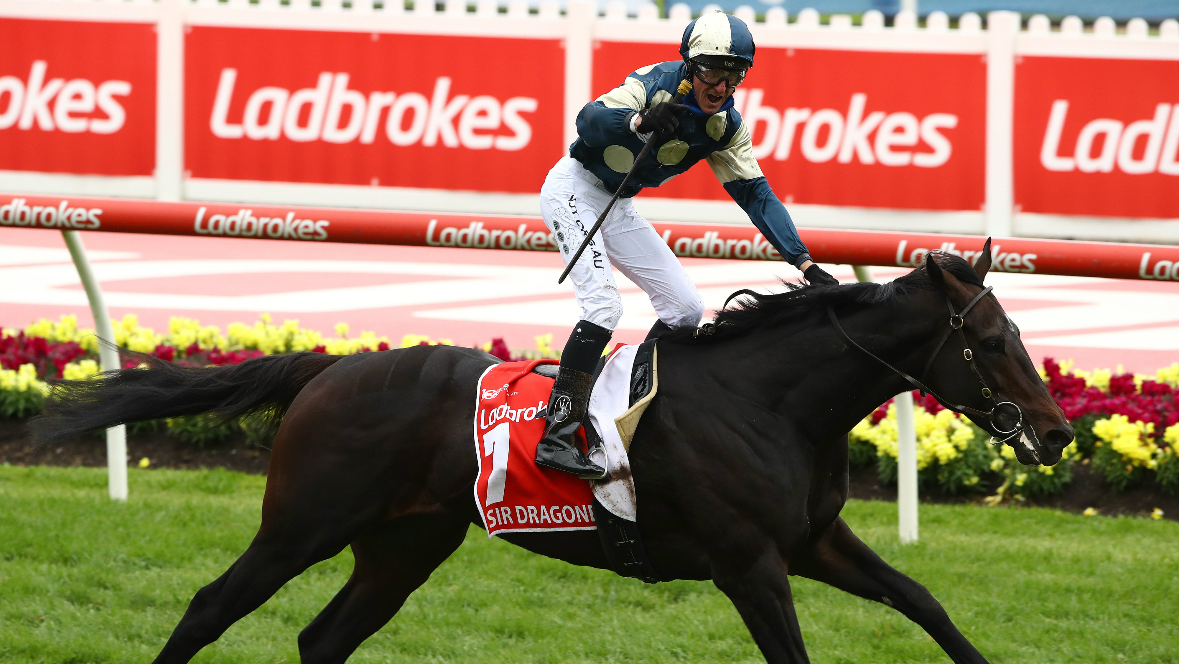 Cox Plate 2020 Sir Dragonet Wins To Hand Glen Boss His Fourth Cox Plate Sporting News Australia