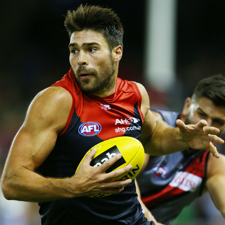 AFL 2015 Melbourne Season Preview Sporting News Australia